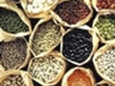 قیمت نهاده در بازار ارزانتر از پشتیبانی عرضه می‌شود