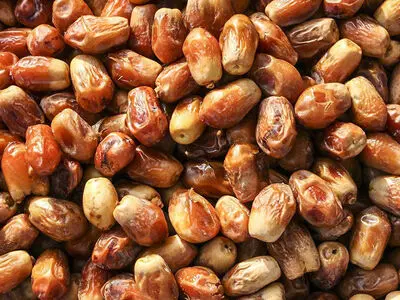 خرما پیارم 15500/ پیزو 7700