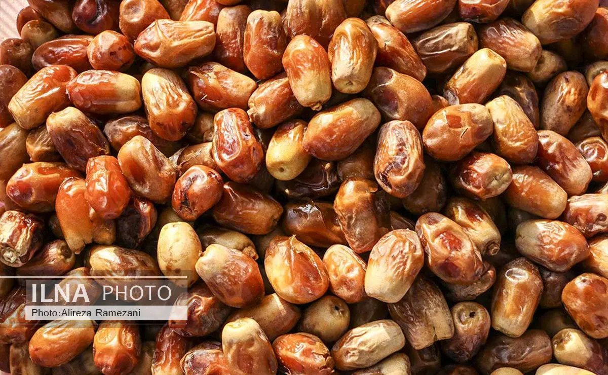 خرما پیارم 15500/ پیزو 7700