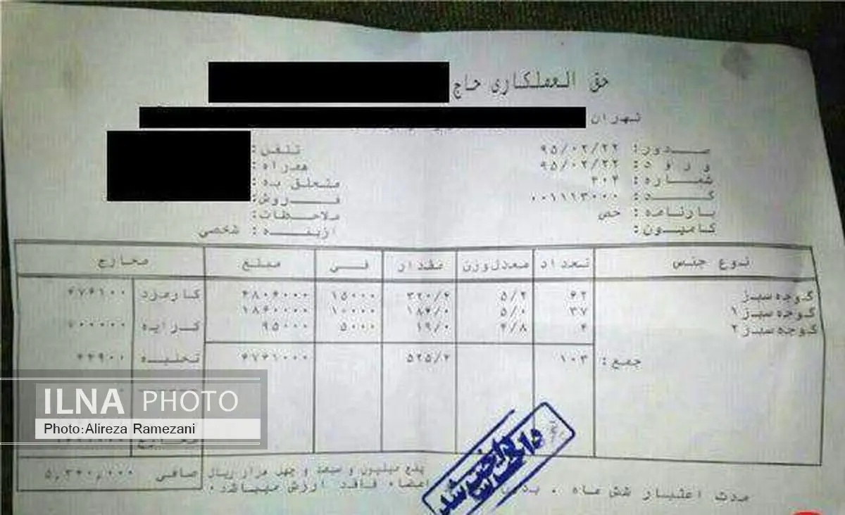 فاکتور قیمت واقعی گوجه سبز شهریار + عکس