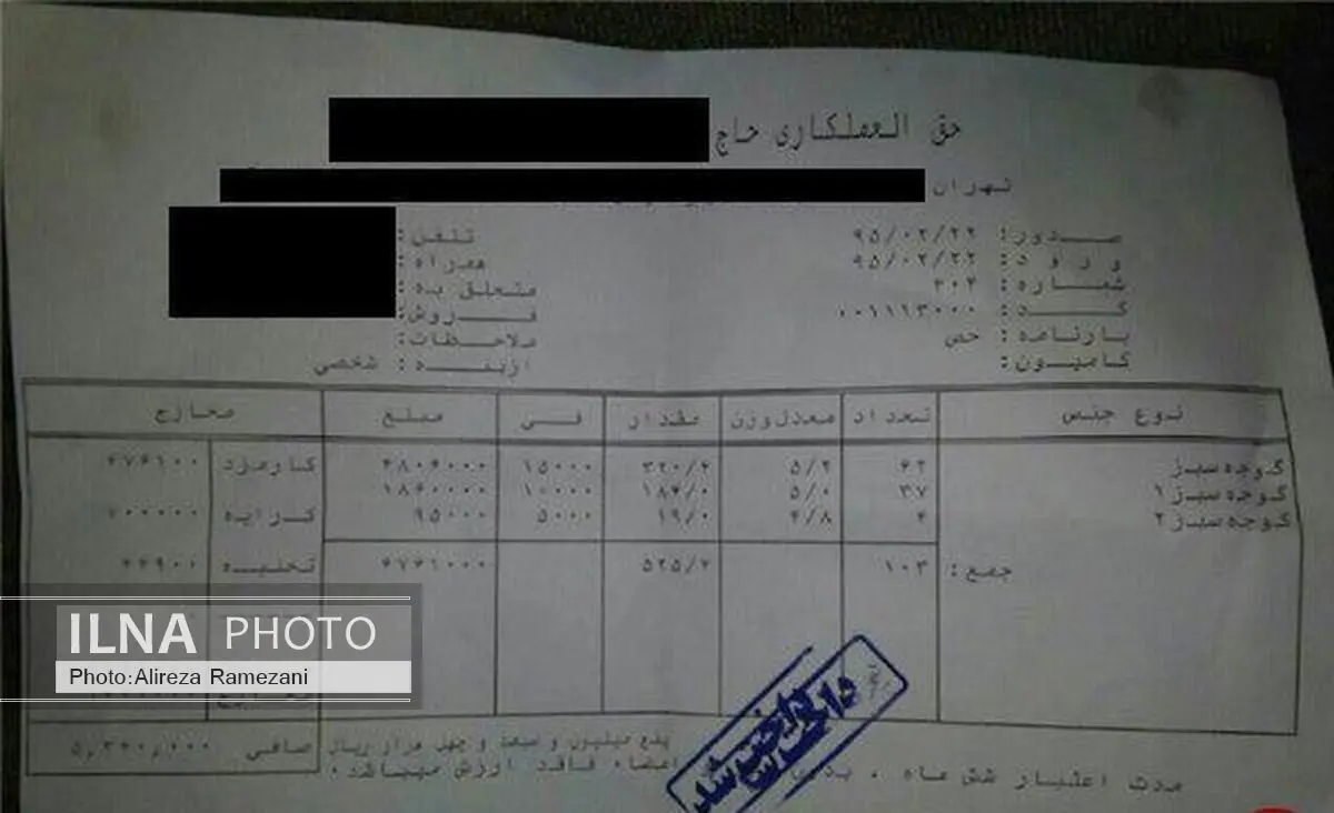 فاکتور قیمت واقعی گوجه سبز شهریار + عکس 