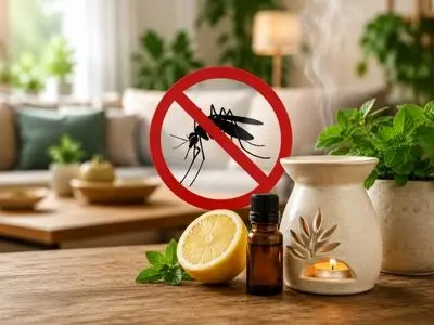 دفع پشه ها از خانه بدون مواد سمی