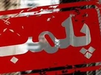 کافه سگ‌ها در منطقه اندرزگو تهران پلمب شد