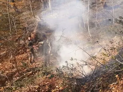 آتش سوزی در ۳۳ نقطه از جنگل‌های هیرکانی گلستان مهار و اطفاء شد