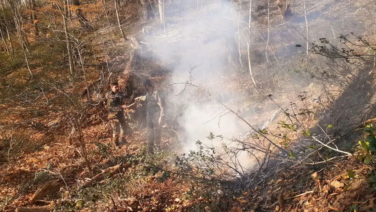 آتش سوزی در ۳۳ نقطه از جنگل‌های هیرکانی گلستان مهار و اطفاء شد