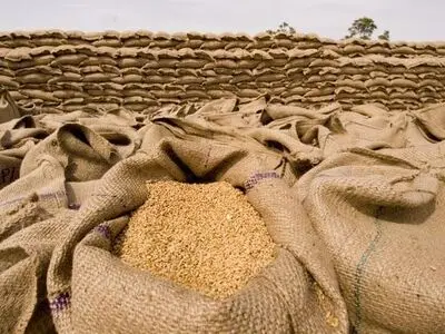 ابلاغ مصوبه خرید تضمینی گندم در سال 96