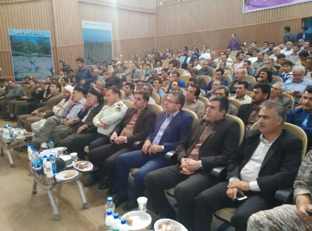  برگزاری نخستین جشنواره گردو در کردستان 