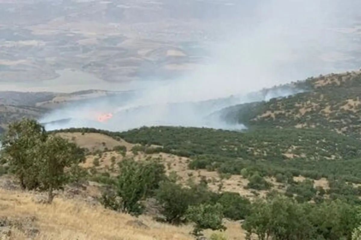 آتش‌سوزی جنگل‌ها و مراتع روستای مهرنجان ممسنی ادامه دارد 