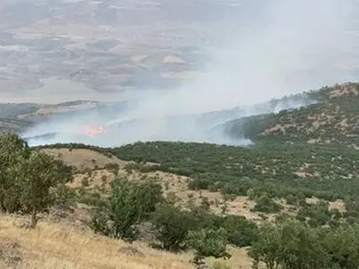 آتش کوهمره سرخی مهار شد/ باد همچنان تهدیدی جدی است