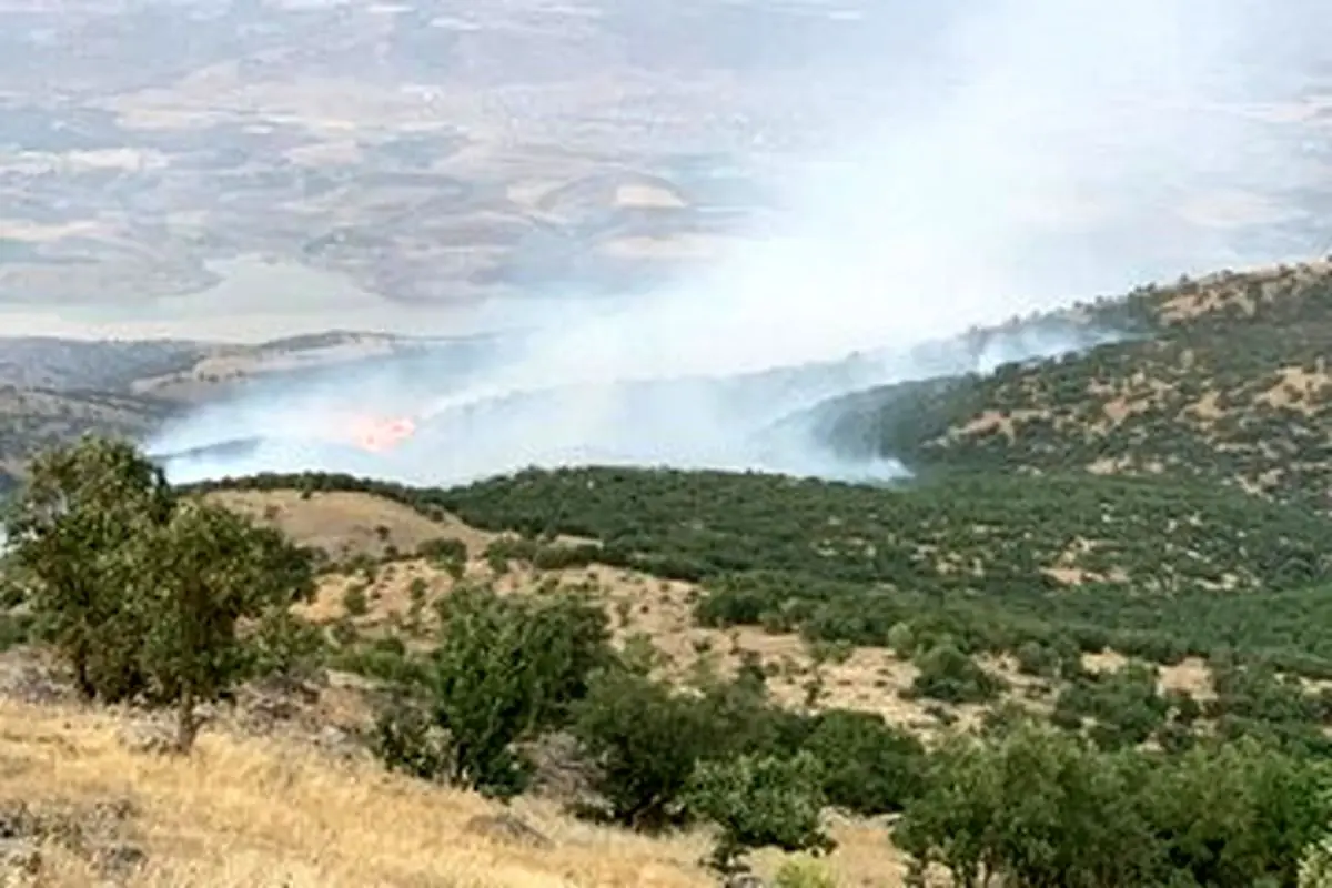 آتشسوزی جنگلها و مراتع روستای مهرنجان ممسنی ادامه دارد