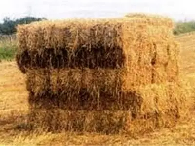 ممنوعیت خروج کاه و کلش از کرمانشاه