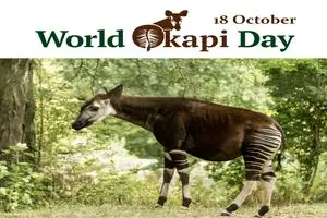 ۱۸ اکتبر روز جهانی گورزرافه است