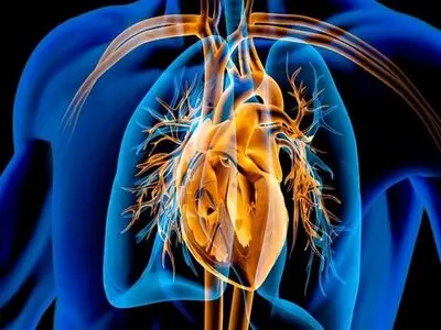 فواید داروی لاغری پرمصرف این روزها برای قلب 
