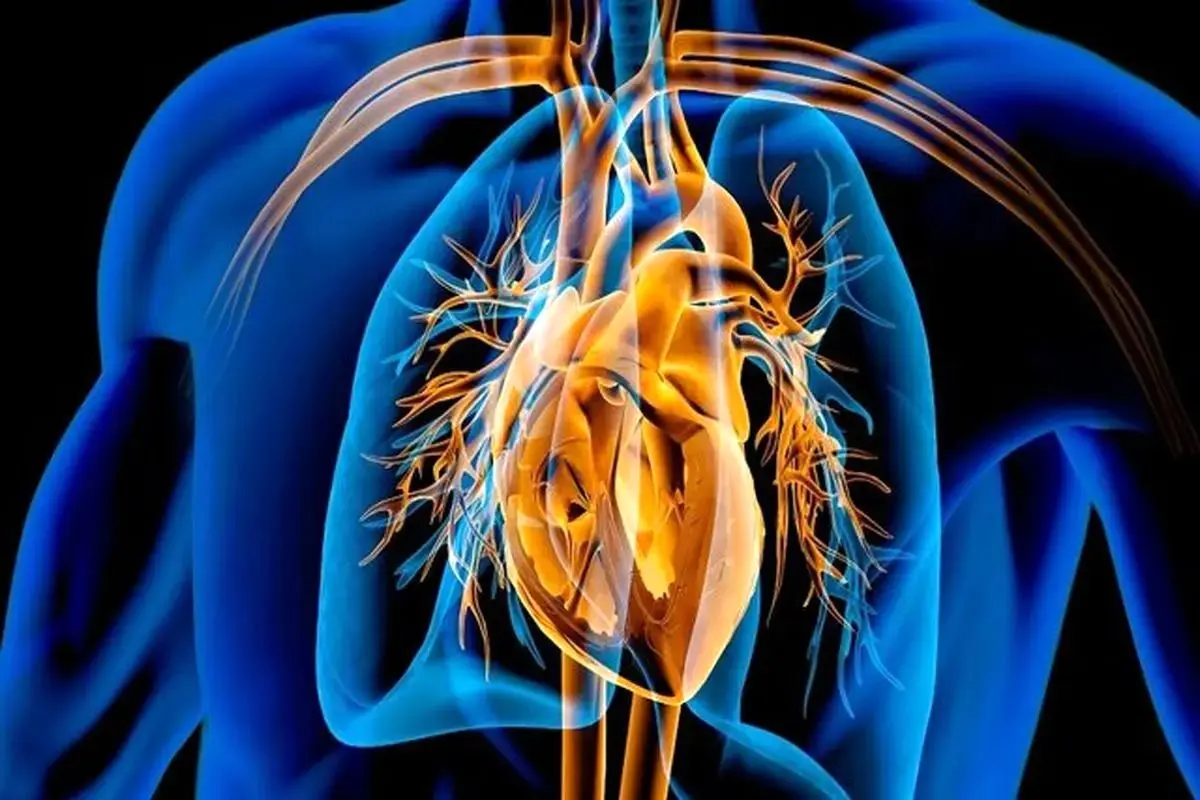 فواید داروی لاغری پرمصرف این روزها برای قلب 