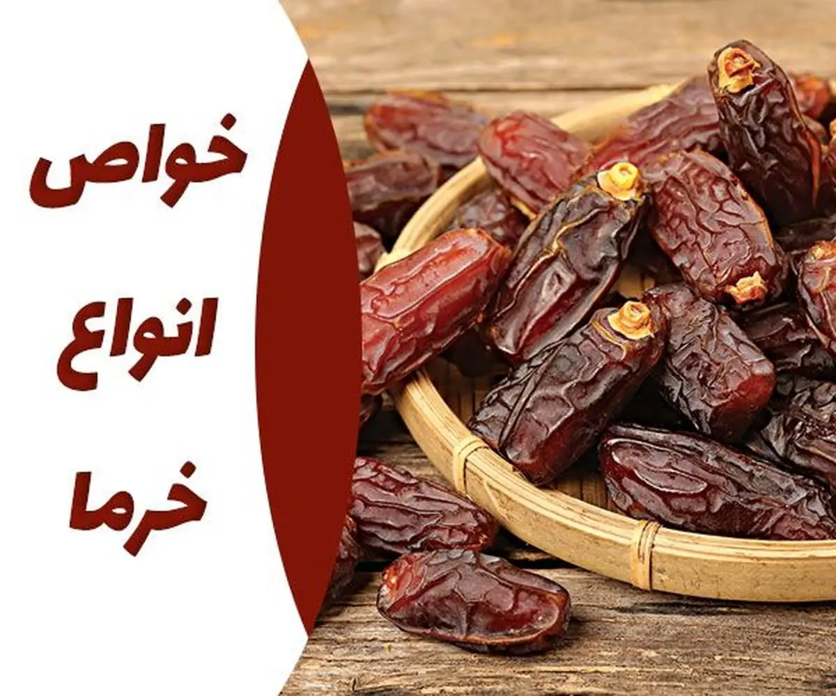 خواص انواع خرما چیست؟ هر آنچه که باید در مورد خواص خرما بدانید