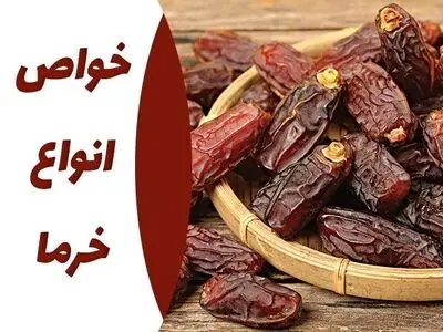 خواص انواع خرما چیست؟ هر آنچه که باید در مورد خواص خرما بدانید
