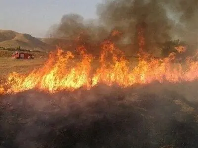 ۵ هکتار از اراضی کشاورزی اسلام آبادغرب طعمه حریق شد  