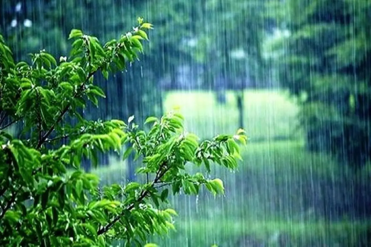 صدور هشدار زرد هواشناسی در مازندران / بارش شدید باران و خطر آب‌گرفتگی
