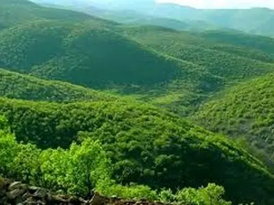 توسعه استان باید در کنار حفظ محیط زیست پیش برود