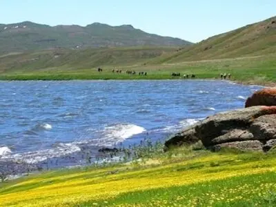 ضرورت تدوین برنامه جامع برای احیای تالاب نئور 