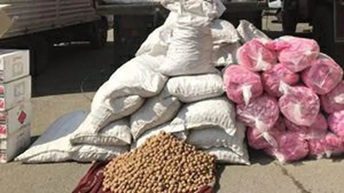 قاچاقچی گردوی خارجی در یاسوج دستگیر شد