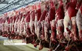 توزیع گوشت گرم گوساله با قیمت مصوب در بازارهای میوه و تره‌بار کرج