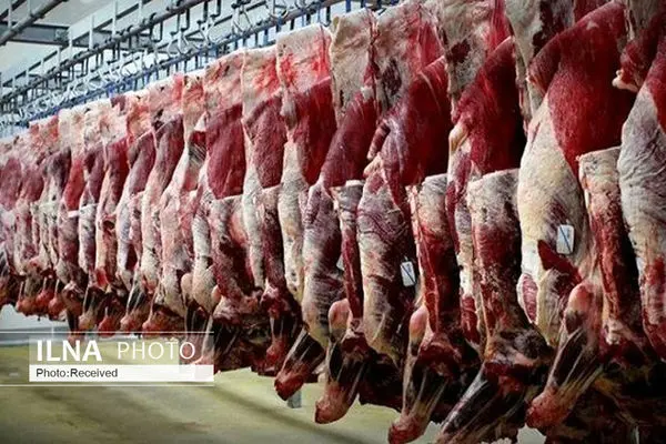 توزیع بیش از سه هزار کیلو گوشت گرم در همدان