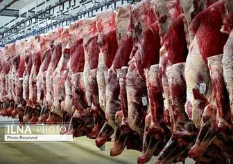 دلیل افزایش اخیر قیمت گوشت/ دام به تعداد کافی وجود ندارد