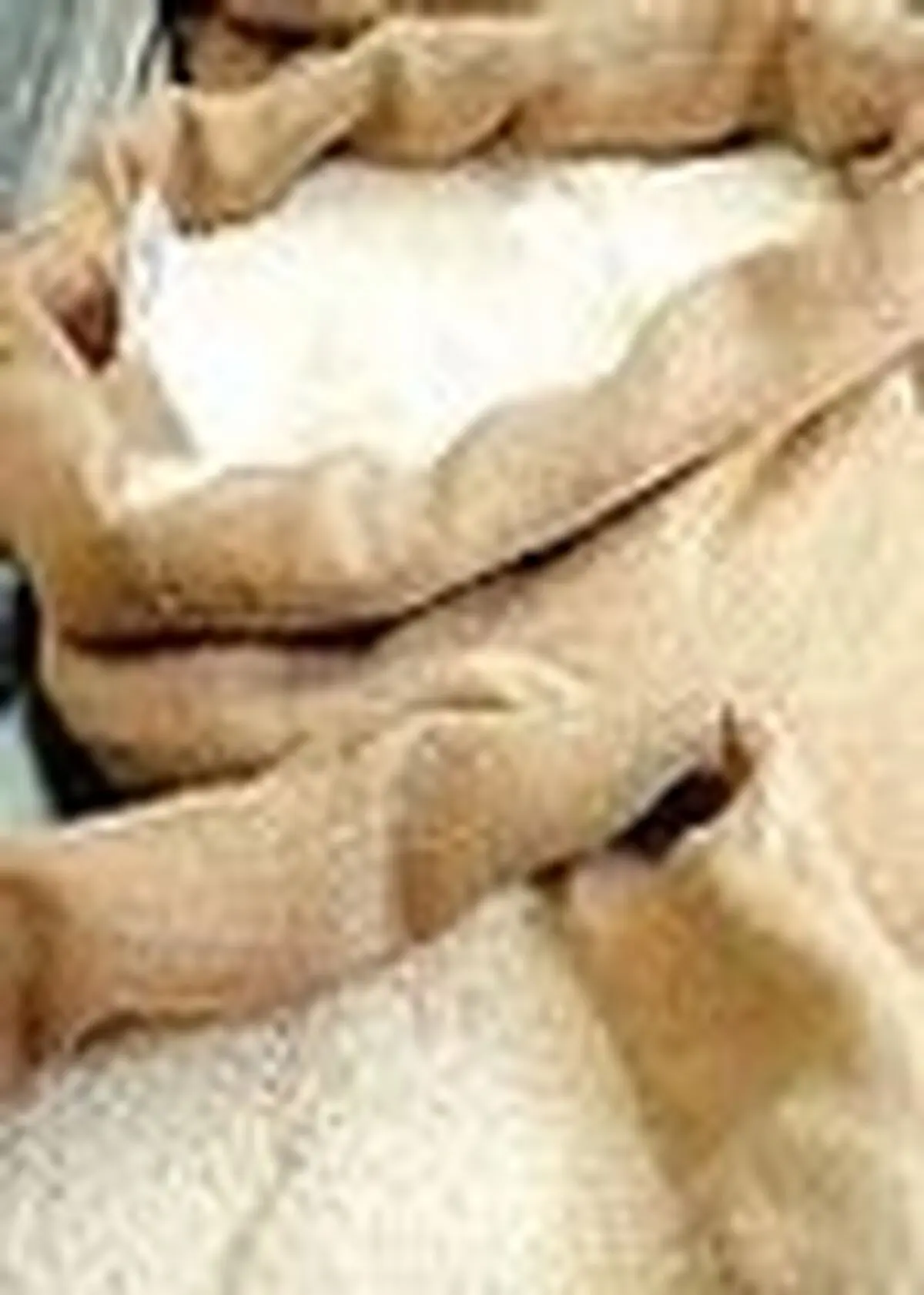 برنج مازندران هیچ آلودگی ندارد / ضرورت نظارت بر برنج‌های وارداتی