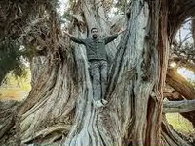 شناسایی کهنسال‌ترین موجود زنده ایران/فیلم