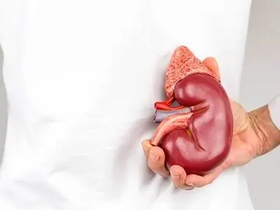 آنچه باعث سنگ‌ساز شدن کلیه‌ها می‌شود 
