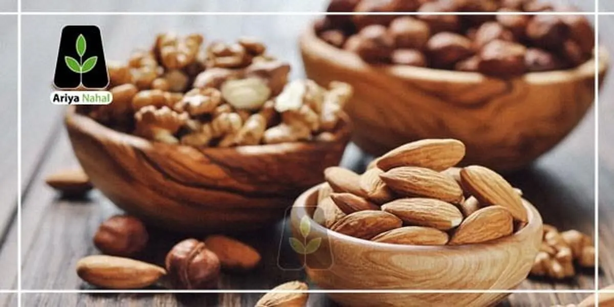چرا از نهال گردو و بادام به عنوان بهترین نهال‌ها یاد می‌شود؟
