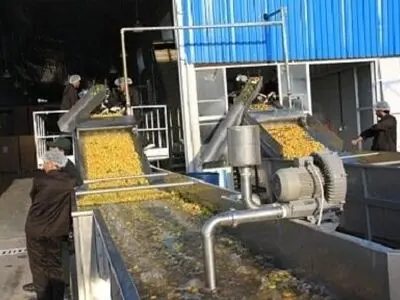فرآوری سالانه بیش از ۴ میلیون تن محصولات کشاورزی در آذربایجان غربی