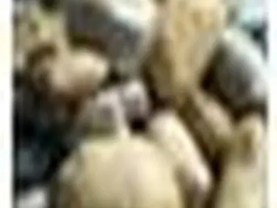 کشف ۳۰ کیلو گرم مواد مخدر در مراغه