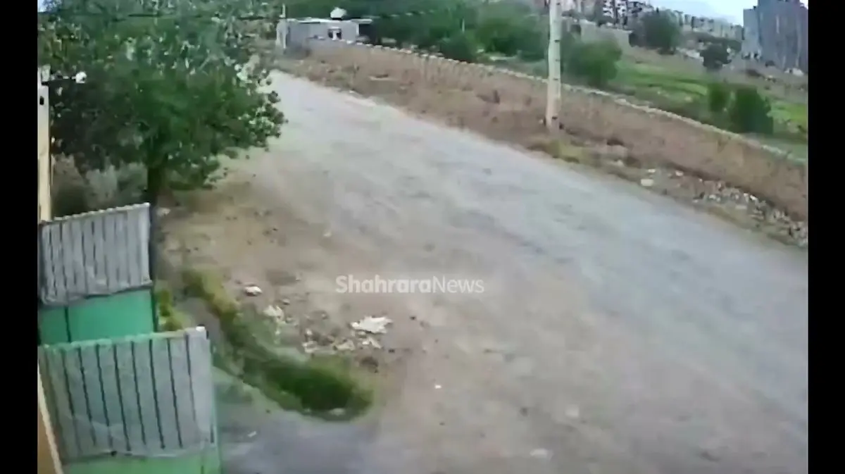 کودکان پشت فرمان، والدین پشت میز دادگاه! + فیلم