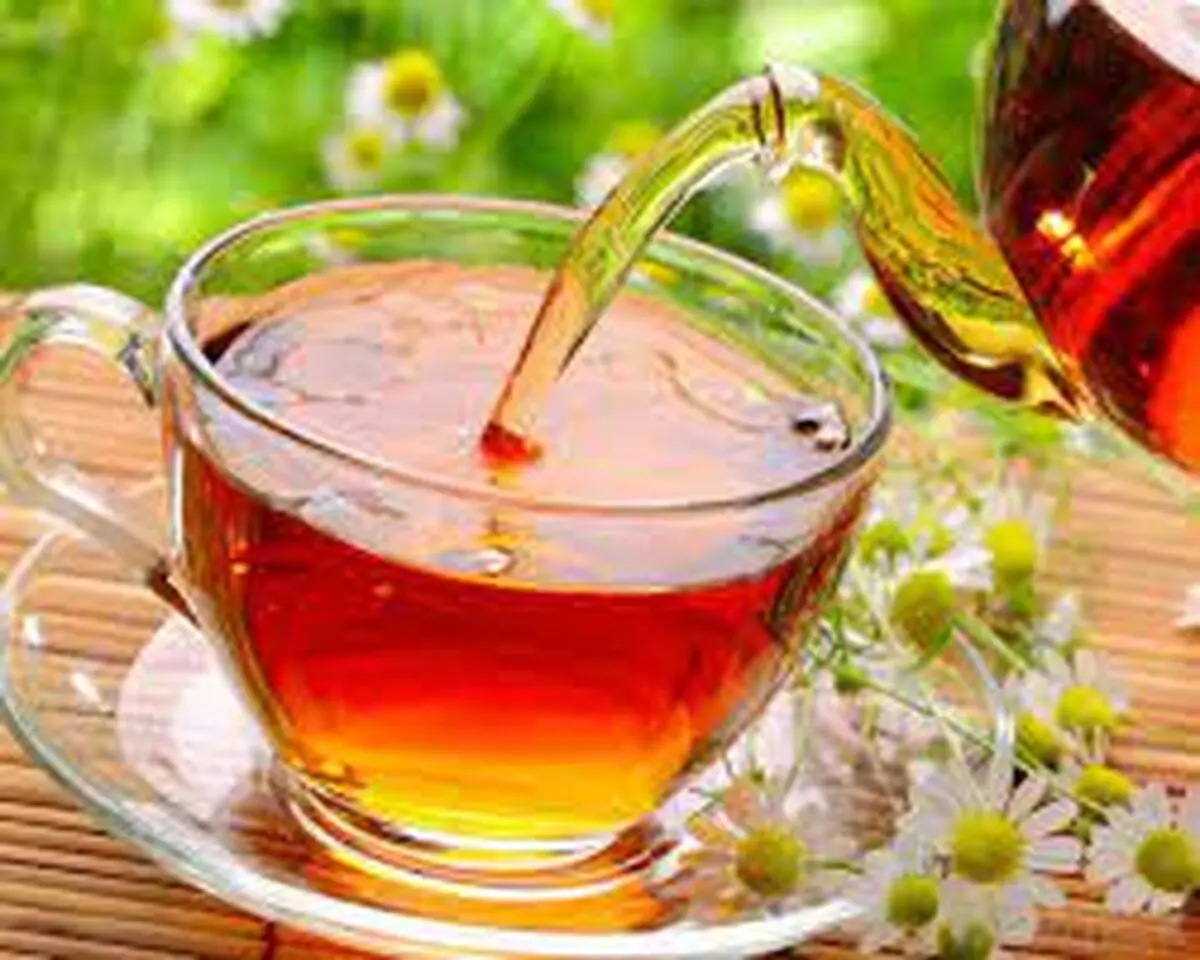 نگاهی به تولید و واردات چای در سال های اخیر