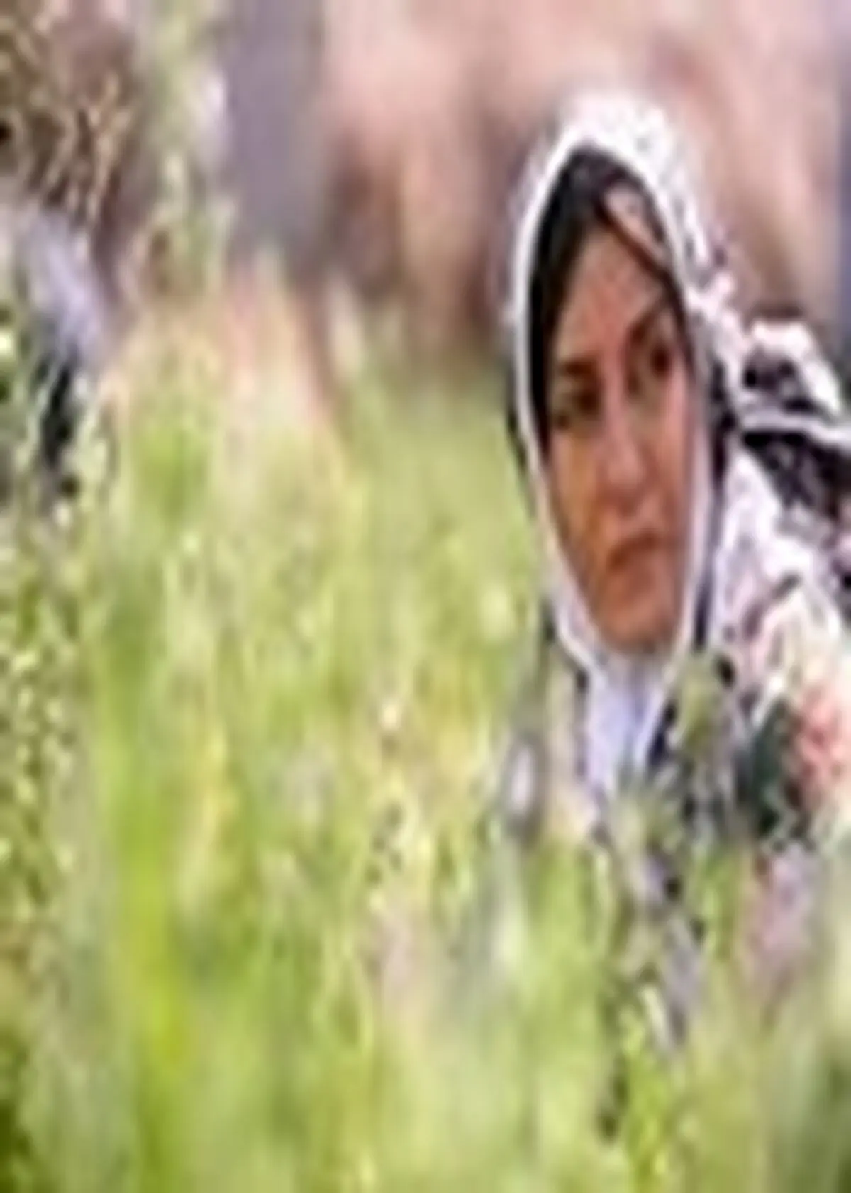 اکران فیلم سینمایی «شیار ۱۴۳» در لنگرود