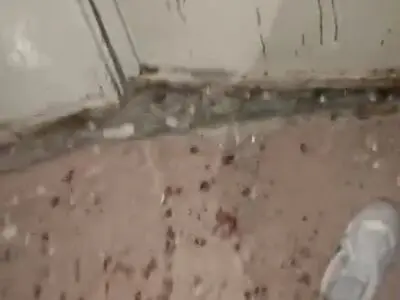 انفجار ترقه منجر به مجروح شدن ٦ نفر در مرودشت