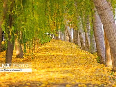 پاییزِ شهر اصفهان