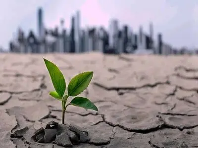 مقابله با چالش‌های تغییرات اقلیمی با تولید بذرهای مقاوم به خشکسالی در کشور