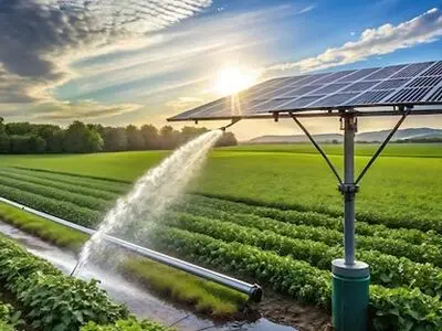 75 درصد مصرف آب بخش کشاورزی به دلیل مدیریت ناکارآمد حکمرانی آب است