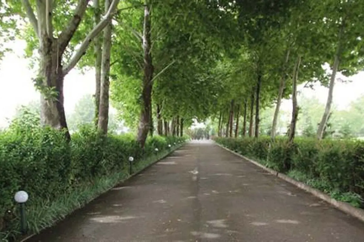 راه‌اندازی دهکده ورزشی در رشت