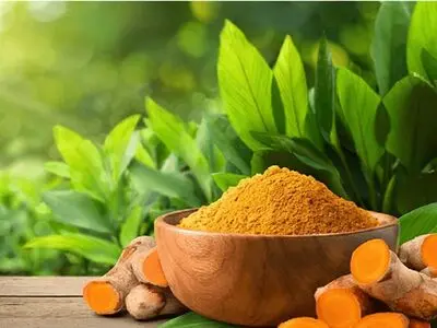 ادویه طلایی و میزان مصرف آن
