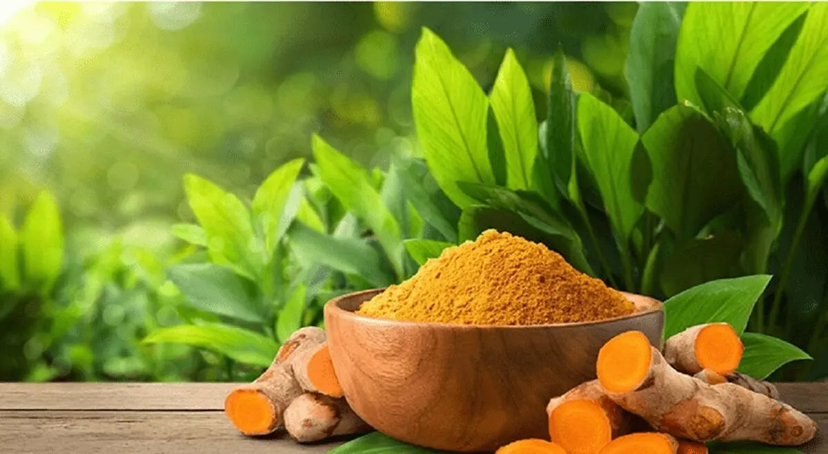 ادویه طلایی و میزان مصرف آن
