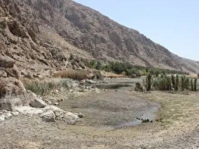 چاه های غیر مجاز مرگ تالاب هشیلان را رقم زدند / هزاران جاندار در معرض نابودی