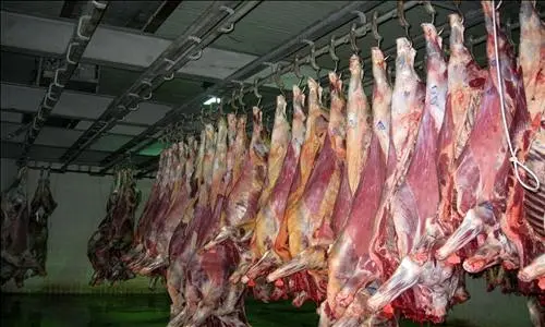 سالانه بیش از 31 هزار تن گوشت قرمز در همدان تولید می‌شود