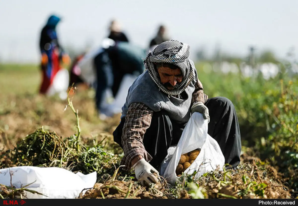 بیکاری در روستا‌ها تک رقمی است