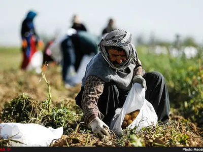 روستاییان قادر به فروش محصولات خود نیستند