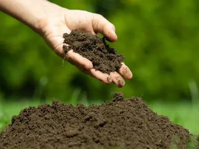 پیشنهاد ۱۴ آذر ماه به‌عنوان روز جهانی خاک 