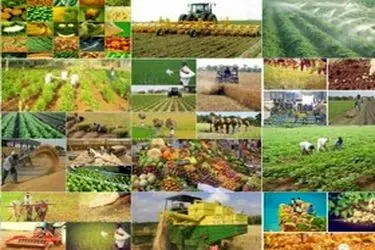 تولید بیش از ۳ میلیون تن محصولات دامی و  زراعی در لرستان